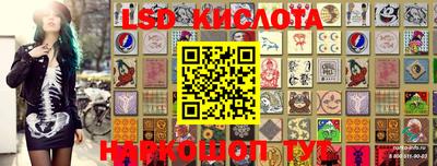 PSILOCYBIN Кандалакша