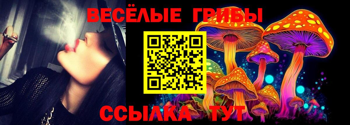купить наркоту  Псилоцибиновые грибы Psilocybine cubensis  Вход с VPN  Ликино-Дулёво 